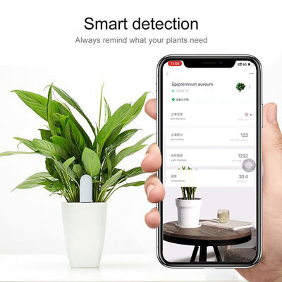 PLANT & FLOWER SMART SENSORS