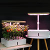 Hydroponics Growing System